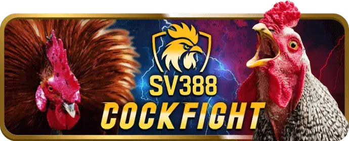Game video slot hiện đại